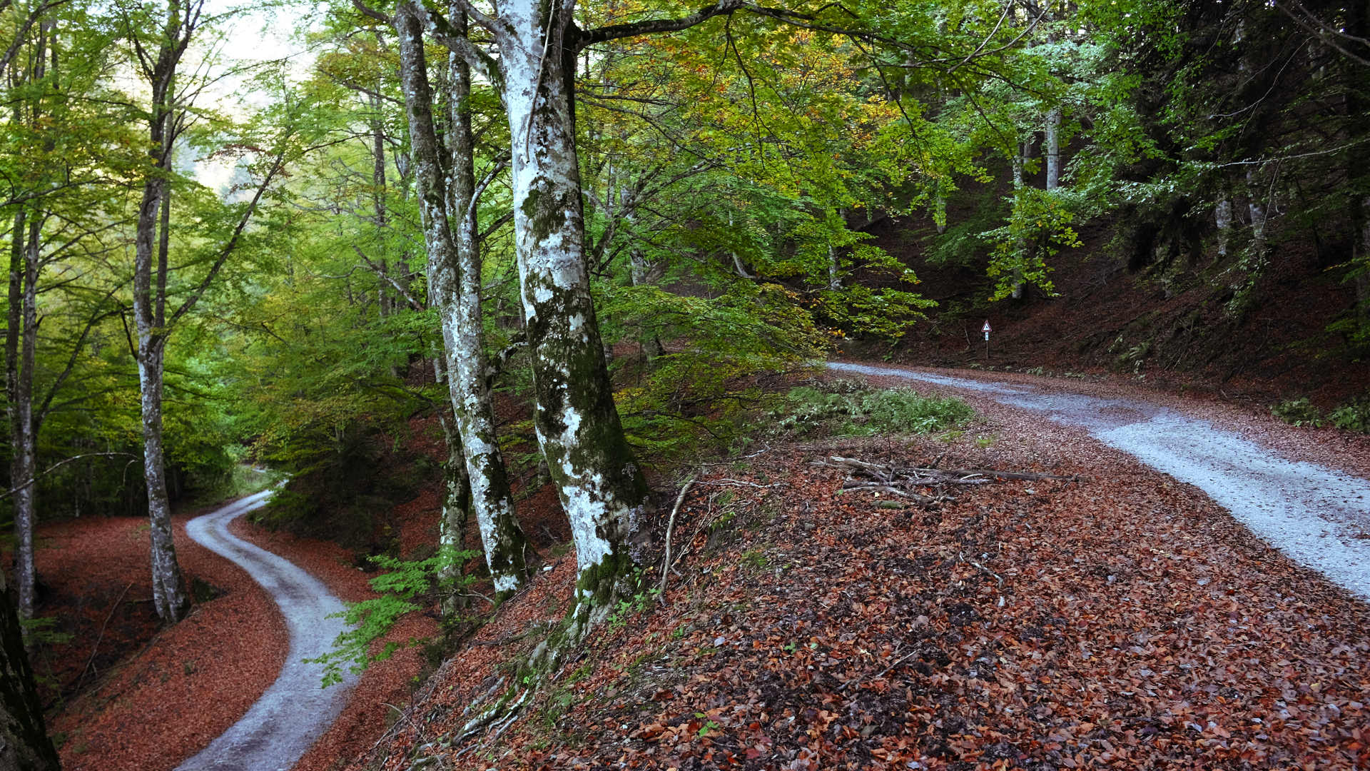 La Pista della Lama